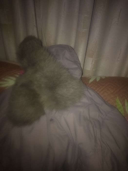 Плащ из лебяжьего пуха