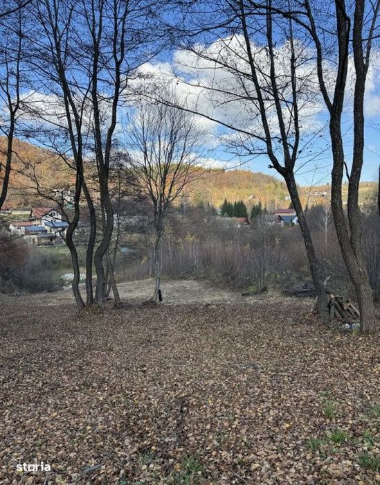 Teren spectaculos, intravilan,  Feleacu, zona linistita, padure + para