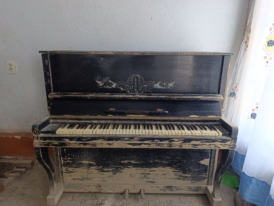 Arxiv Pianino sotiladi