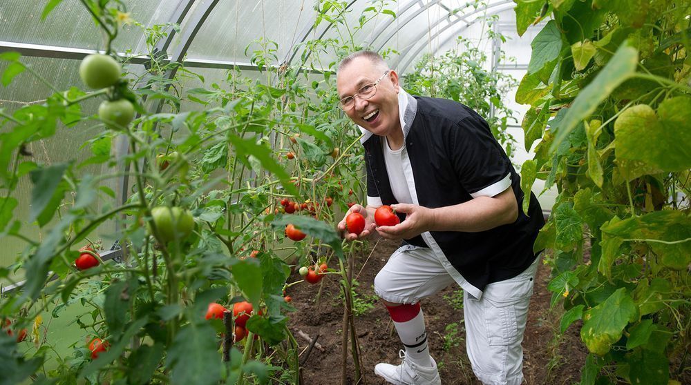 Собирай 2 урожая с нашими теплицами