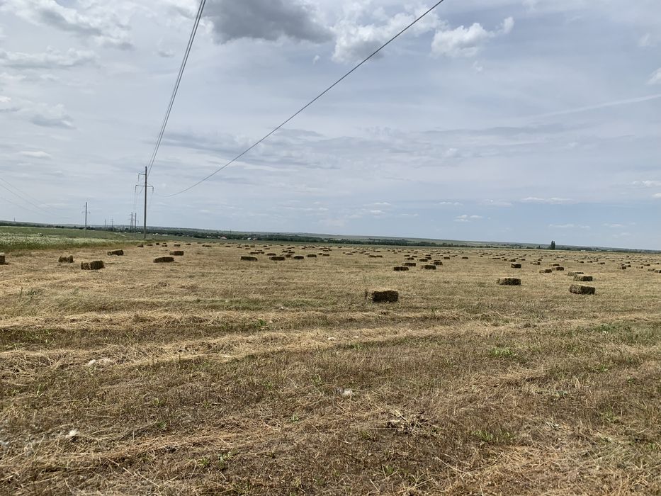 Продам сено летний покос