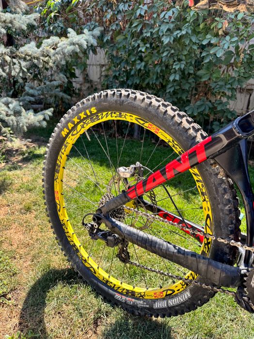 Giant glory dh 2015