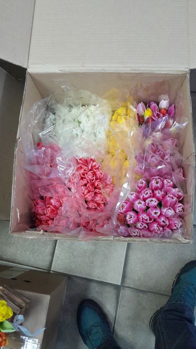 Тюльпаны доставка по городу !