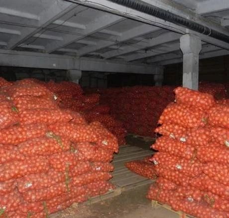 Лук Отличный коллибр Супер