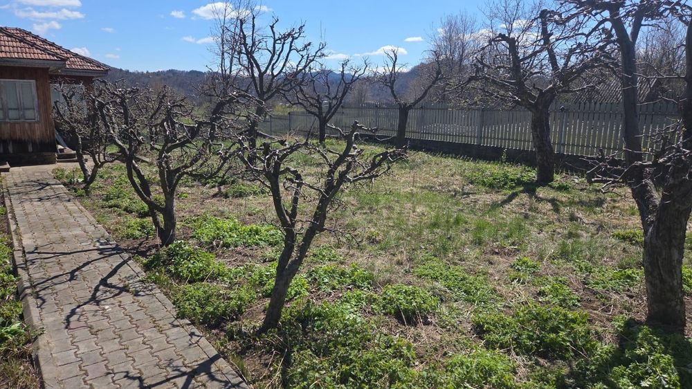 Vând casă la țară