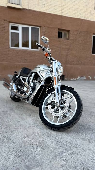 Harley-davidson Night rod