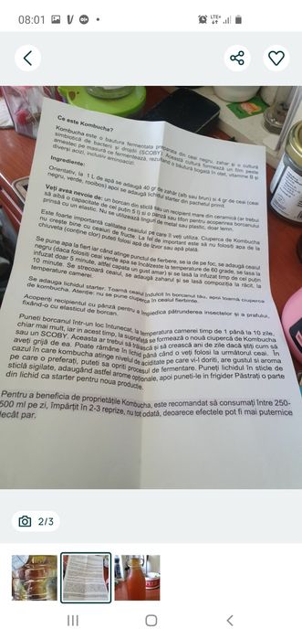 Ciuperca de kefir si ciuperca de Kombucha