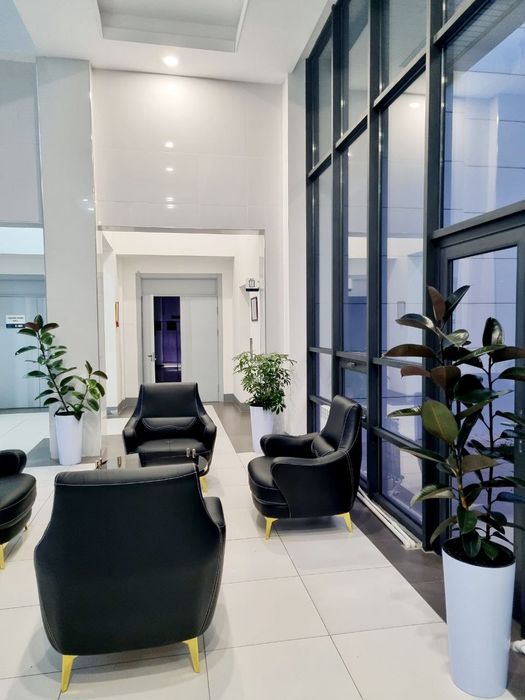 Офисные растения цветы для офиса ресторана нежилых помещений