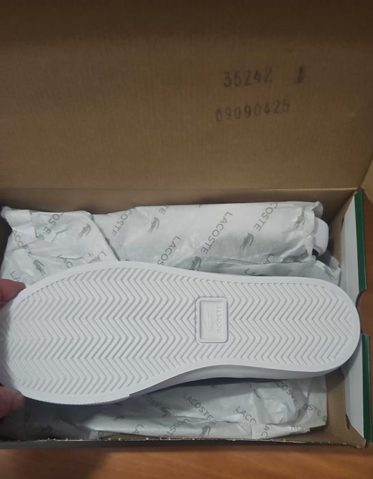 Lacoste shoes number 43