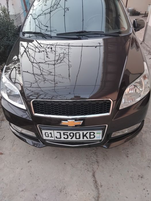 Водитель со своим авто