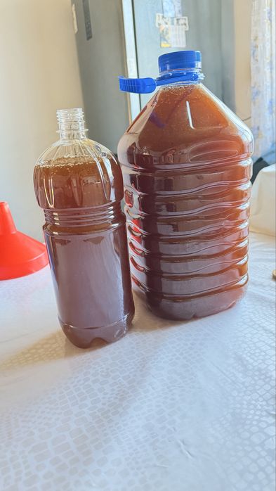 Продаем  натуральный Катонский мед