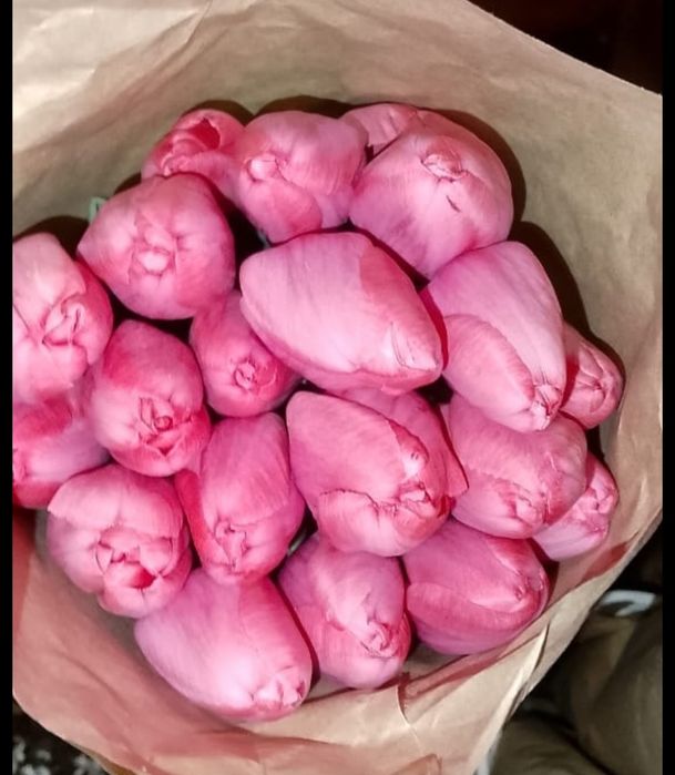 Тюльпаны на 8 марта