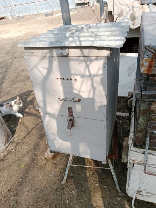 Улья для пчеловодства