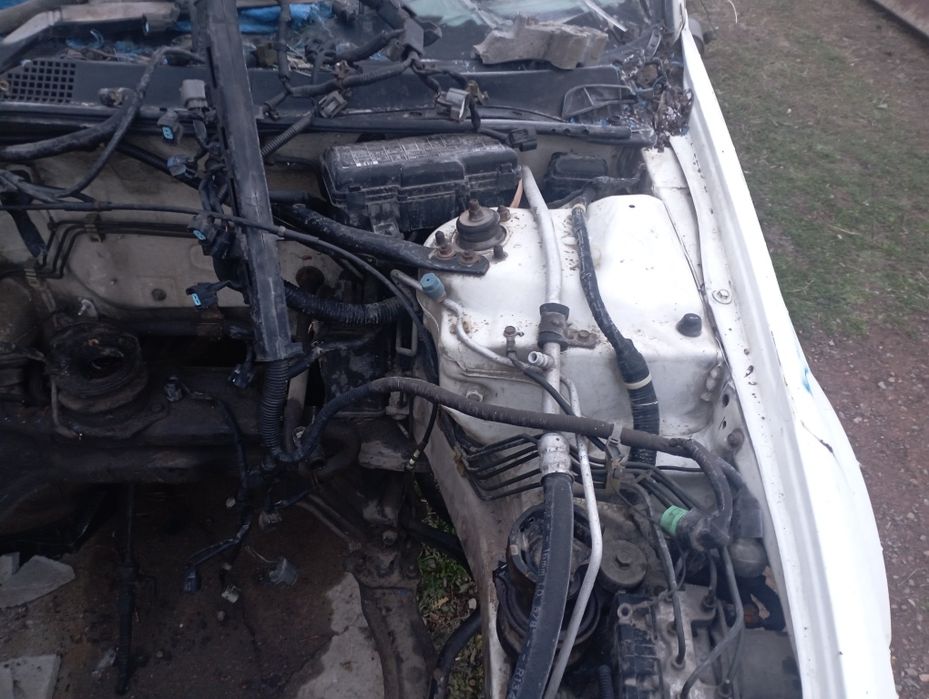 Машина Хонда аккорд