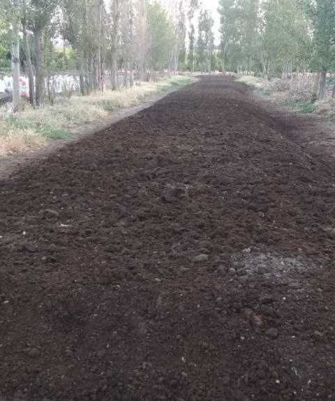 Kaliforniya chuvalchanglari hamyonbop narxda.