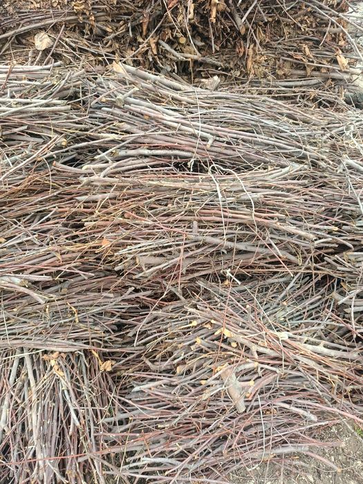 Отин бор нархи келишилади