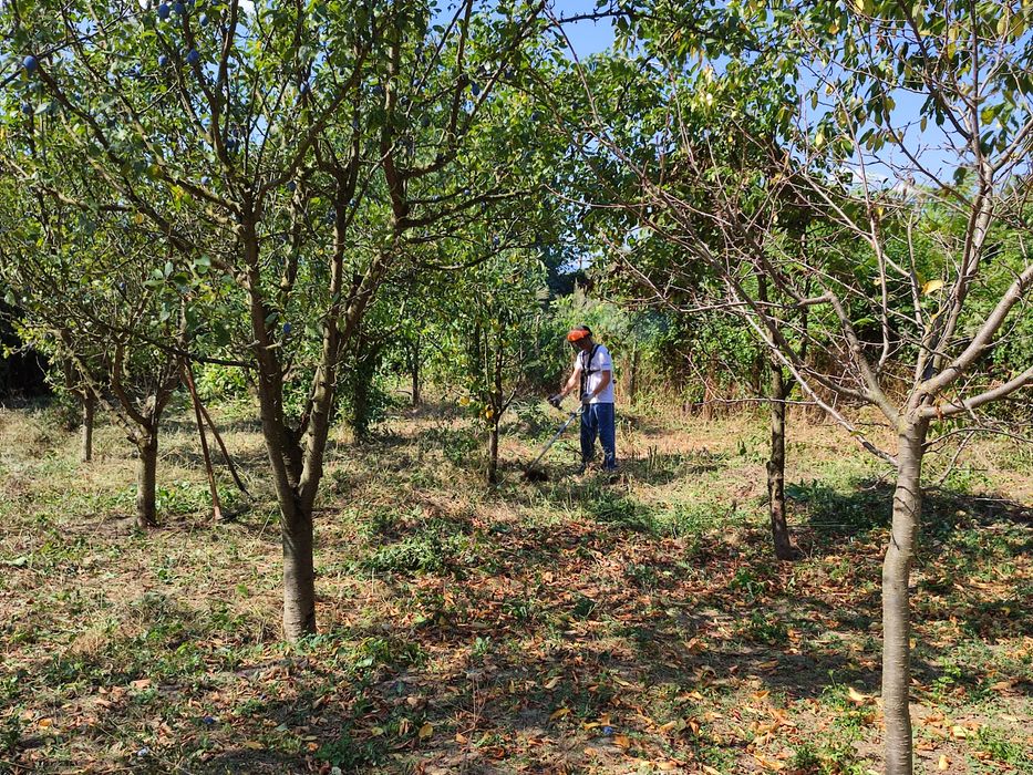 Косене на тревни площи, поддръжка на дворове