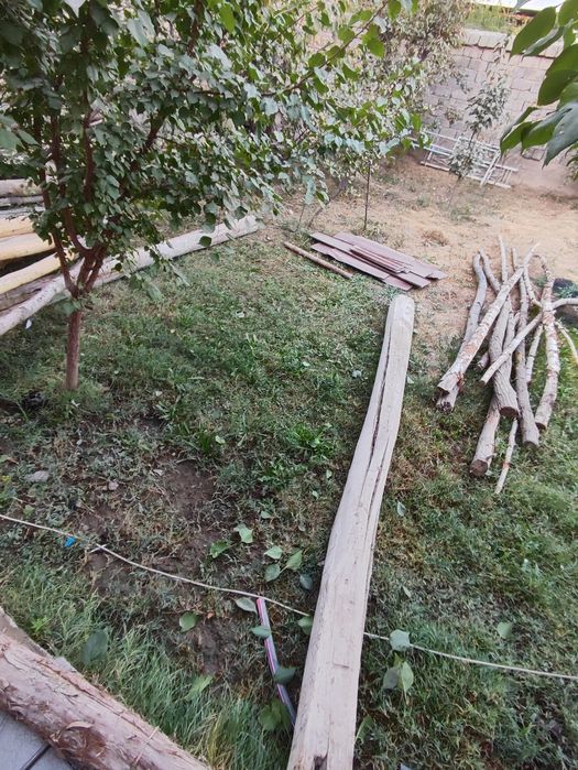 Terak, sasna, archa,yoğochlar sotiladi