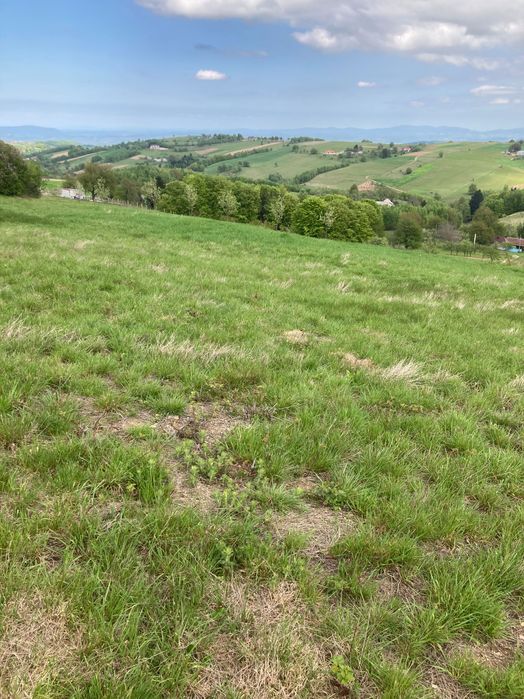 Teren intravilan in Șinteu 3 Ha