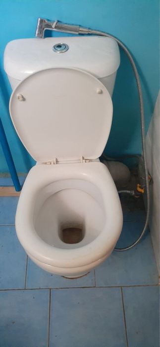 Аренда Саракулька Рисовый
