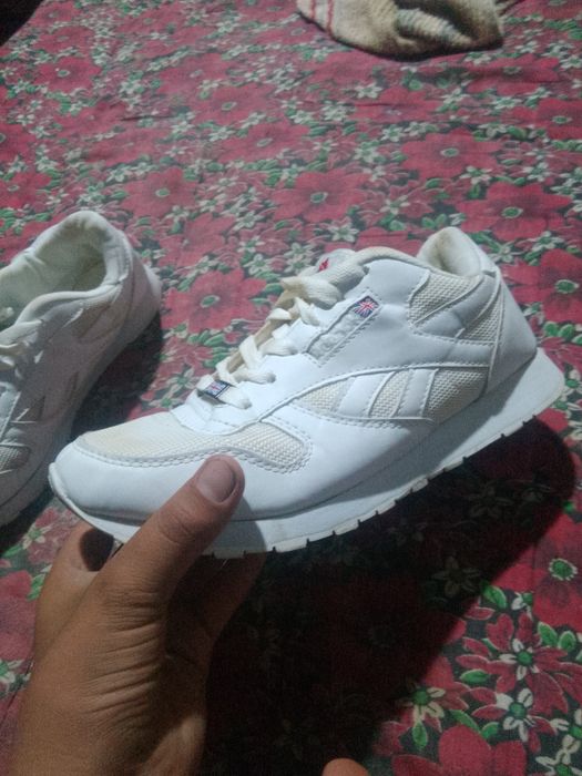 Krasofka reebok amerca