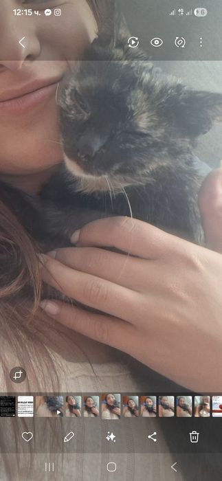 Коте Ари търси своя нов дом