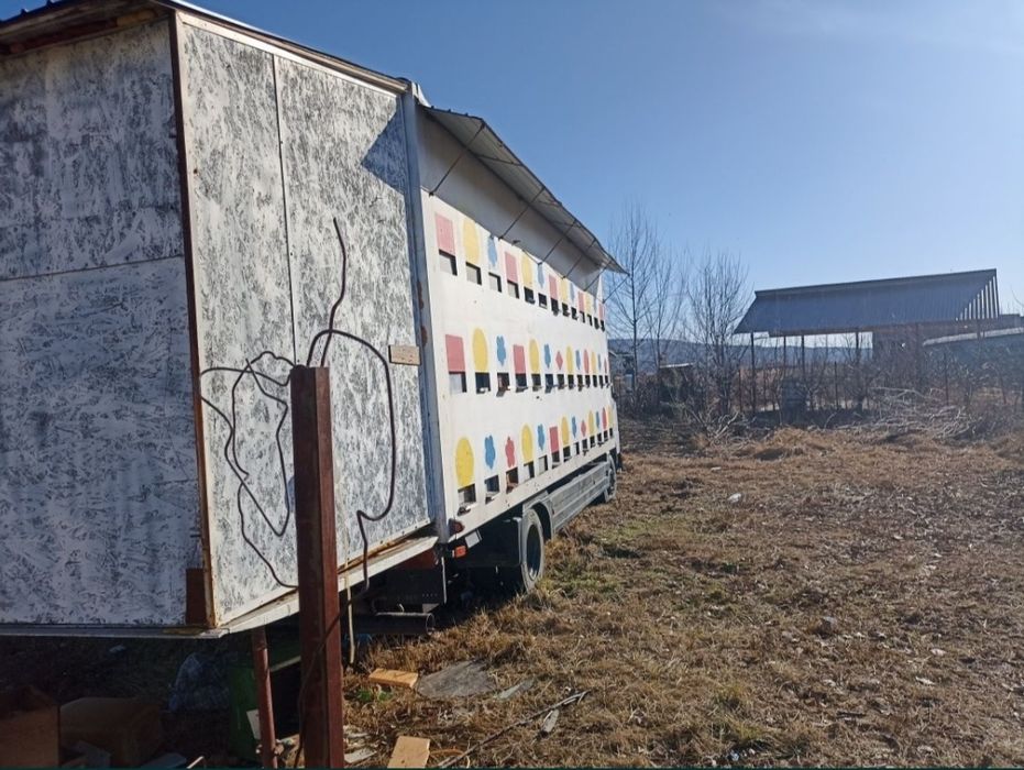 Camion apicol Mercedes Atego cu 70 familii albine