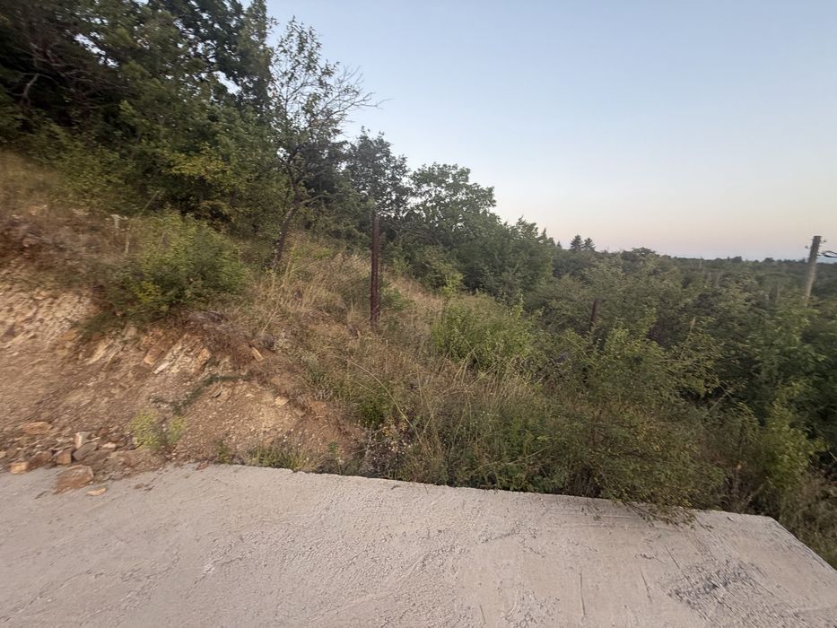 Парцел село Елешница