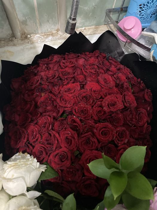 Ote ademy gul alsan okinbeysin