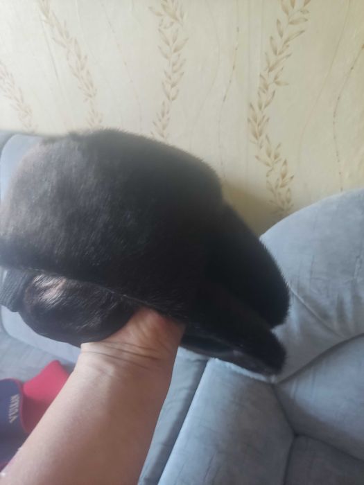 Шапка зима нерпа