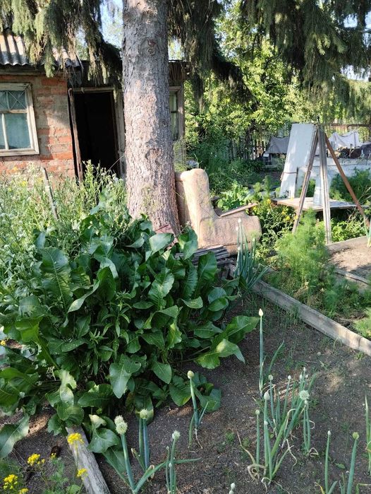 дача по красноярской трассе