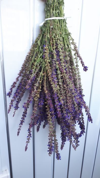 Травы в баню /сауну,купель