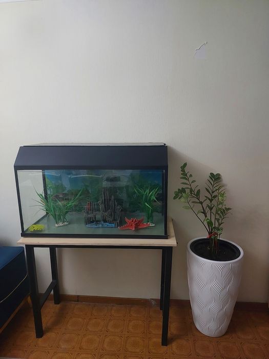 Аквариум 250л с тумбой