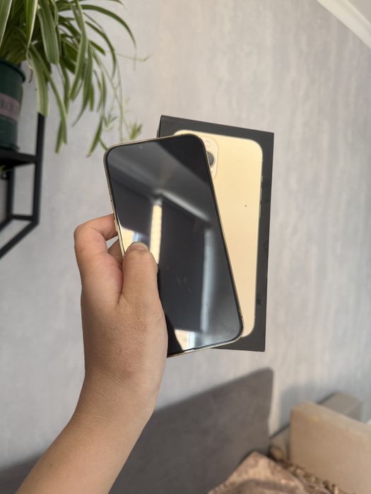 Iphone 13 pro max 256gb