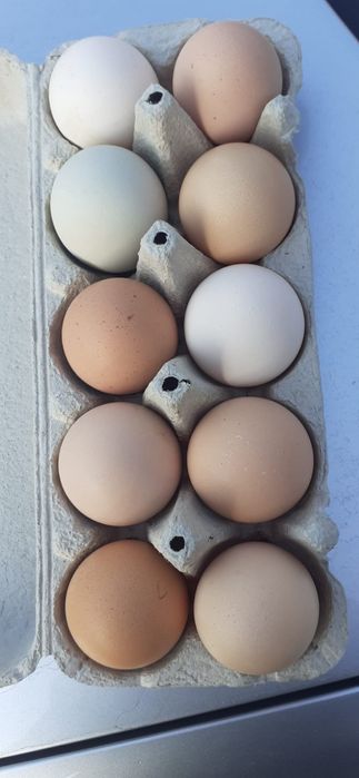 Ouă de găină crescute în gospodăria proprie