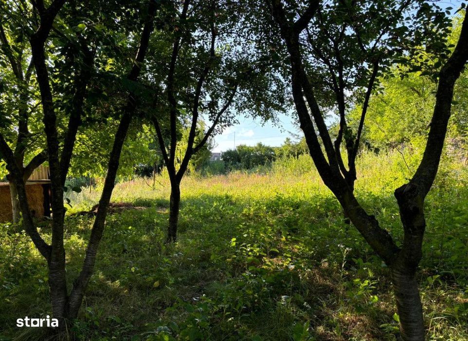 Teren intravilan Valea Adanca , 2540 metri Cod:155291