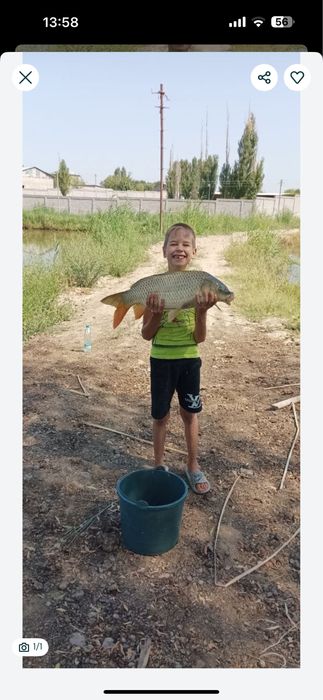 Рыбалка, топчан, улов отличный