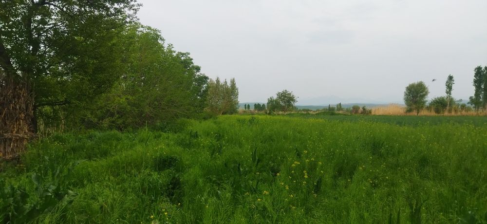 Карабайда уй сотилади