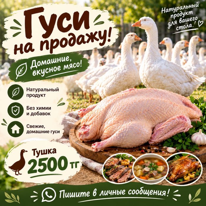 Гусь, Гусей, Гусят, гусиный мясо