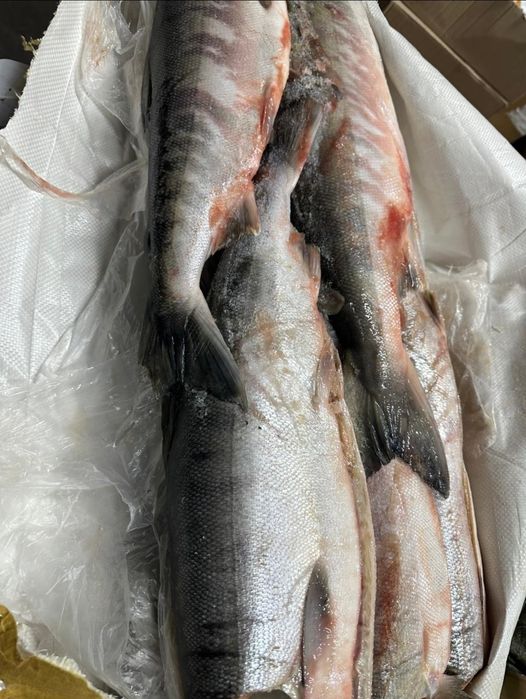 Рыба в ассортименте