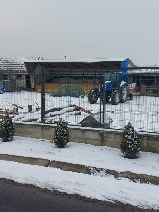 Porumb boabe de vanzare