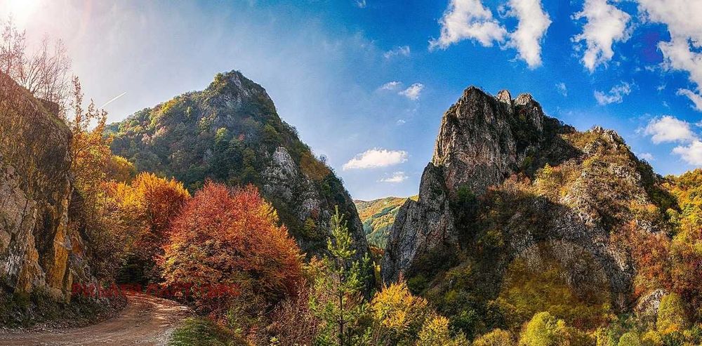 Продава се Парцел в Трън - 2101 кв.м за 9 €/кв.м - Снимка #4