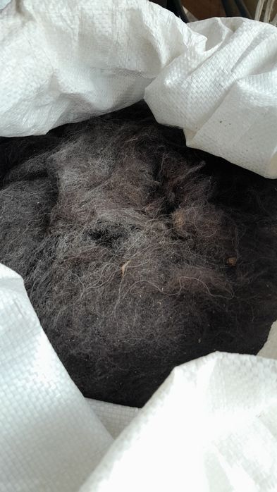 Продам баранью шерсть