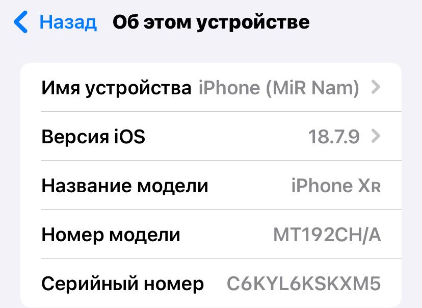 iphone XR в корпусе 17-про