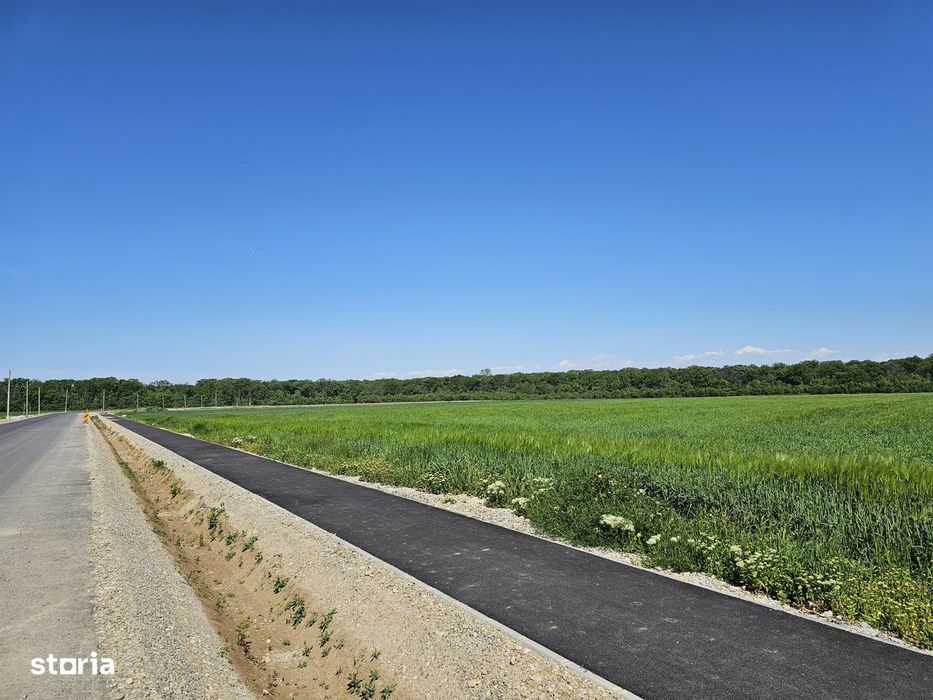 Scroviștea, Intravilan, 3,5 Ha – 75 Ml Front Stradal + 75 Ml La Pădure