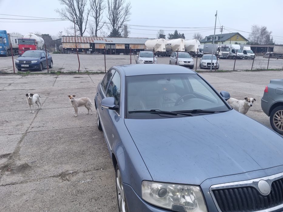 Vand Skoda superb Laurin & Klement 2007