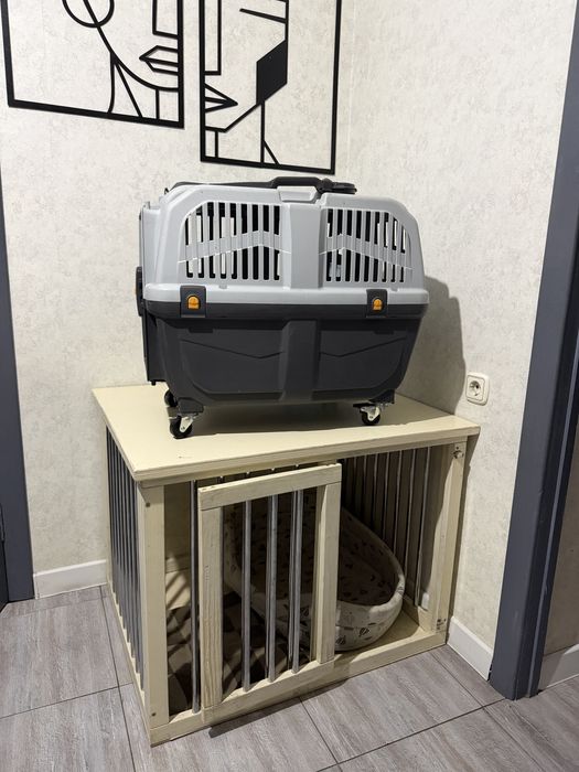 Продается Бигль.