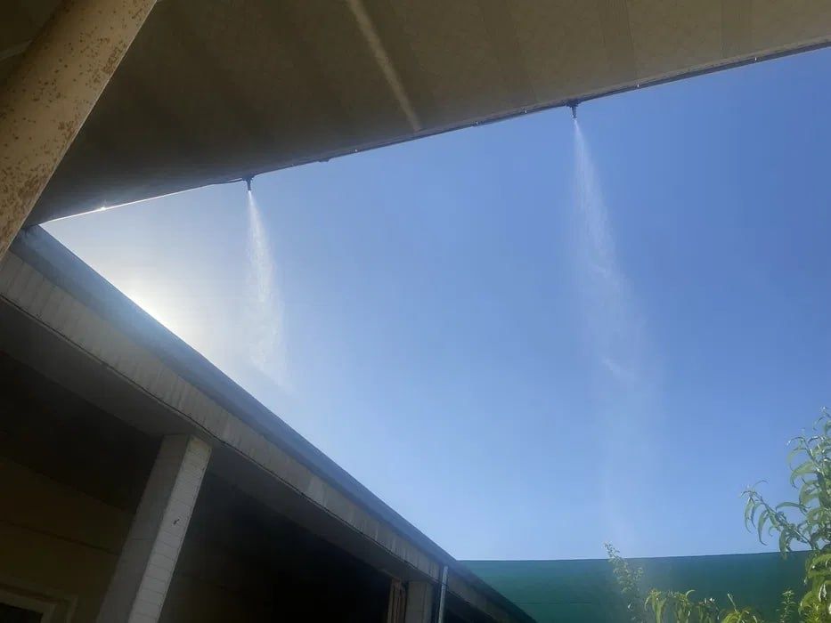 Туманный микроклимат