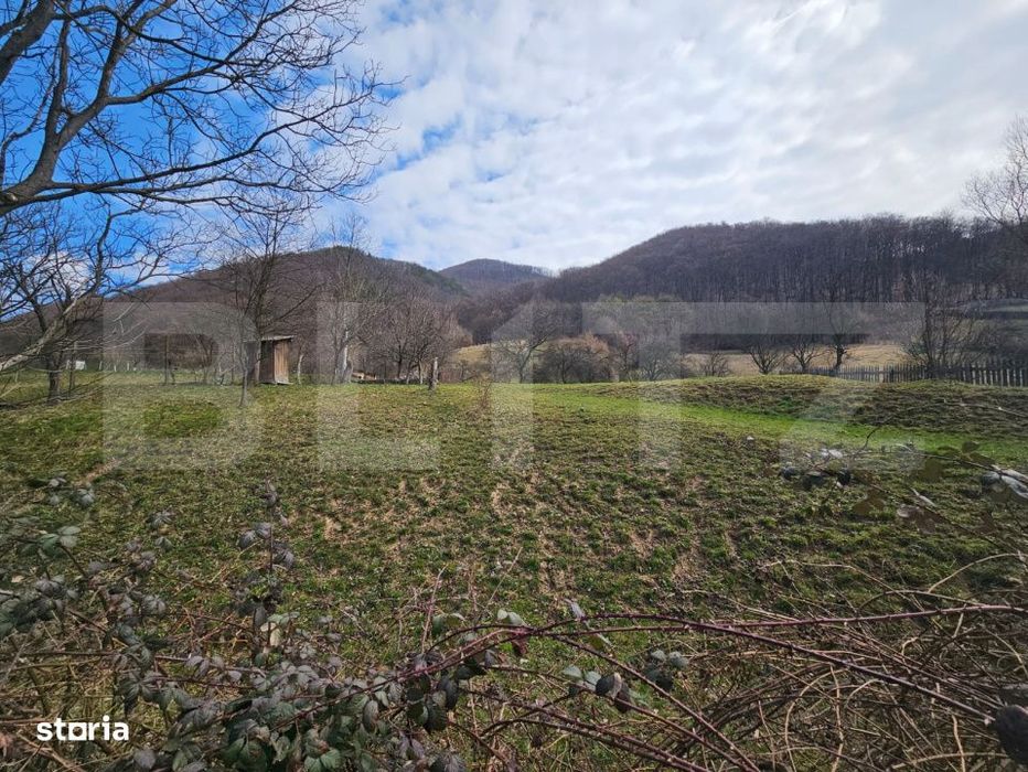 Teren intravilan generos de 4000 mp, cu priveliste montana, Cugir