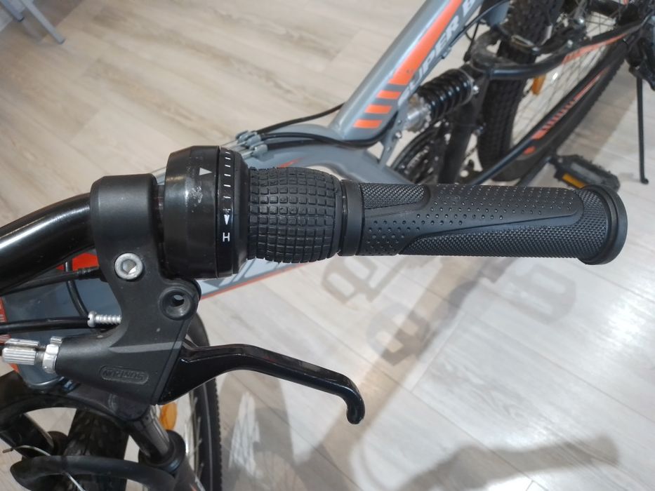 Bicicleta Rich Alpin